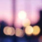 カイコが大きくなりました