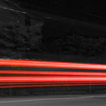 カイコが大きくなりました