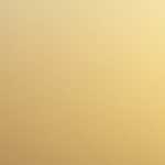 カイコが大きくなりました